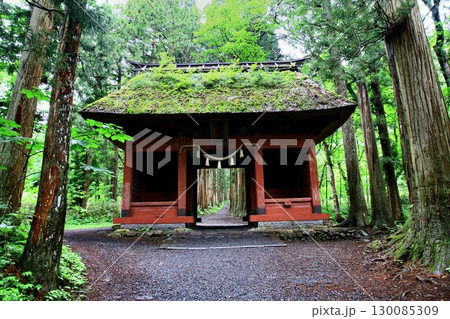 御神体『戸隠山』へ真っ直ぐ続く約2kmの参道… 戸隠神社・奥社【随神門】 130085309