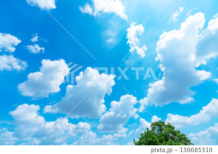 青空と雲と木立 130085310