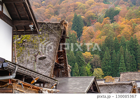 紅葉に染まる白川郷 紅葉に染まる白川郷 130085367