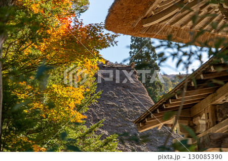 紅葉に染まる白川郷 130085390