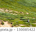 十勝岳連峰の緑豊かな高原を歩く登山者（北海道大雪山系・富良野・美瑛・旭川エリア） 130085422
