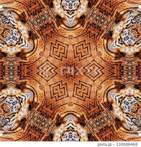 Animal skin concept design with African texture that grow awareness to save animal for nature. Artificial mixed animals fur background to use as rug, tiles, wall hanging to avoid killing any predators Animal skin concept design with African texture that grow awareness to save animal for nature. Artificial mixed animals fur background to use as rug, tiles, wall hanging to avoid killing any predators 130086468