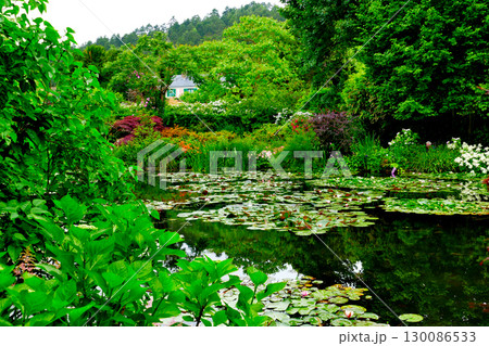 蓮池のある風景 130086533