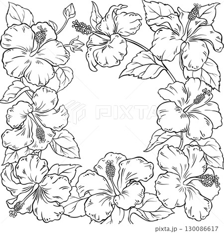 Hibiscus Branch with Flowers Outline Frame 130086617