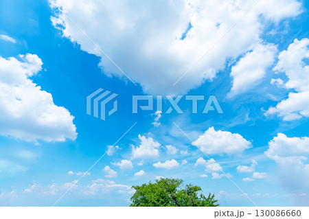 青空と雲と木立 130086660