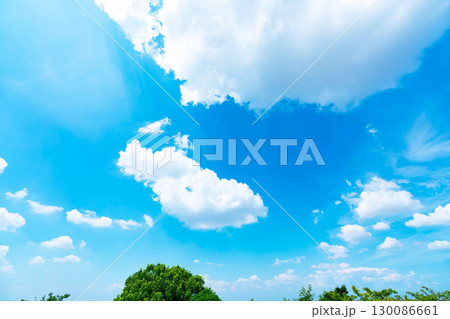 青空と雲と木立 130086661