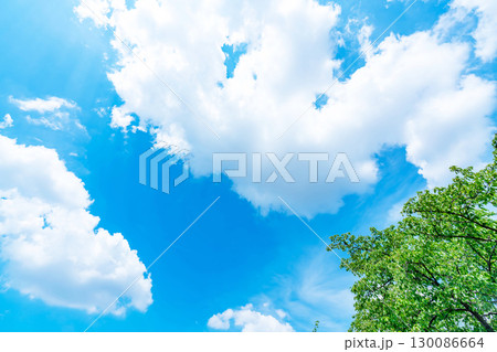 青空と雲と木立 130086664