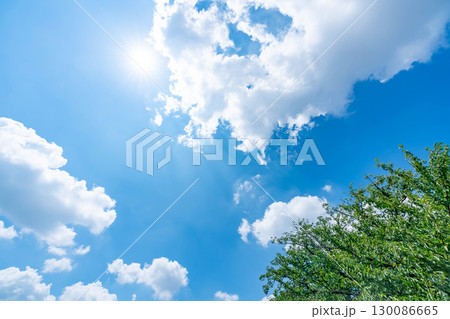 青空と雲と太陽と木立 130086665