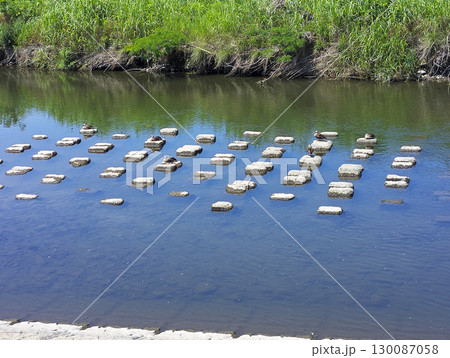 川中の飛び石で休憩するカルガモたち 130087058