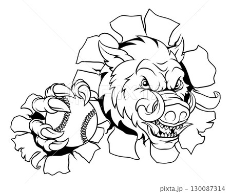 Boar Wild Hog Razorback Warthog Baseball Mascot Boar Wild Hog Razorback Warthog Baseball Mascot 130087314