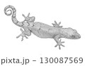 ニホンヤモリ＿鉛筆画 130087569