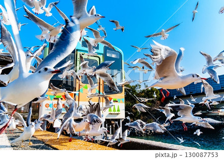 冬の天浜線とゆりかもめ 130087753