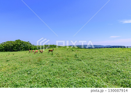 北海道厚岸町　愛とロマンの愛冠岬 130087914