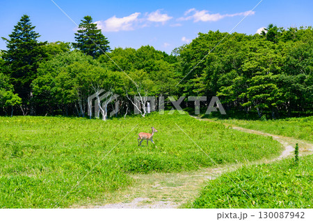 北海道厚岸町 愛とロマンの愛冠岬 北海道厚岸町 愛とロマンの愛冠岬 130087942