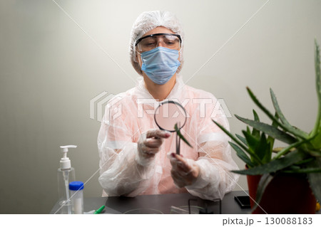 Researcher Explores Aloe Plant Properties for Future Innovations in the Lab Researcher Explores Aloe Plant Properties for Future Innovations in the Lab 130088183