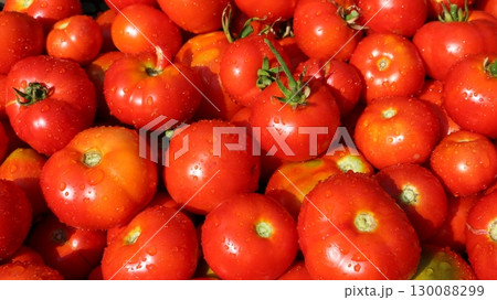 natural garden bright texture with washed red fresh tomatoes in water drops glowing in the sun farm organic tomatoes close up full frame natural garden bright texture with washed red fresh tomatoes in water drops glowing in the sun farm organic tomatoes close up full frame 130088299