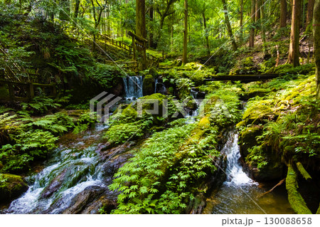 瓜割の滝 瓜割の滝 130088658