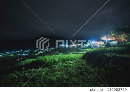 ecology travel night view with camping outdoor relax in rice field at chiangmai thailand in raining season ecology travel night view with camping outdoor relax in rice field at chiangmai thailand in raining season 130088769