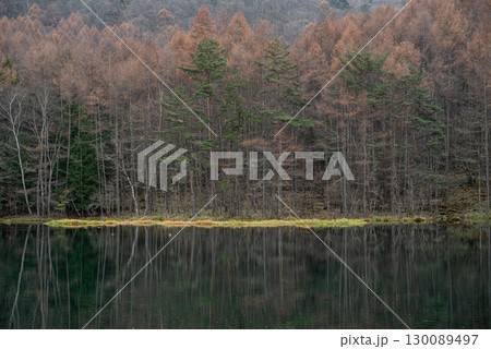 紅葉する御射鹿池　長野県 130089497