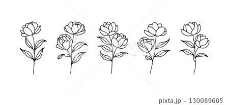 Elegant line art illustration of blooming flowers showcasing natural beauty and grace in a minimalist style 130089605
