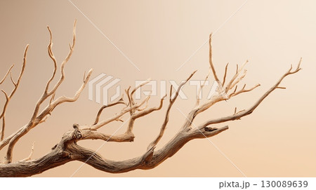 流木アートの背景 130089639