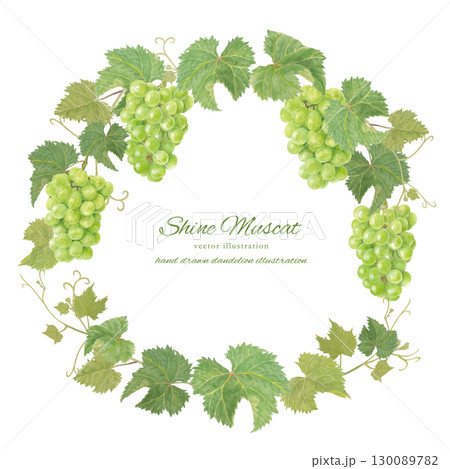 水彩で描いたシャインマスカットのベクターフレーム 130089782