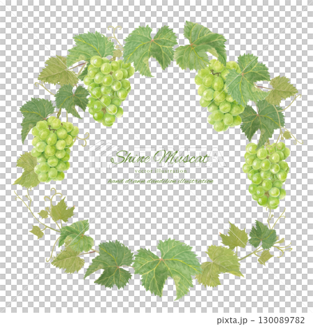 水彩閃耀馬斯喀特向量框架 130089782