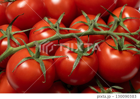 Ripe Tomatoes Still Attached to Green Stem 130090383