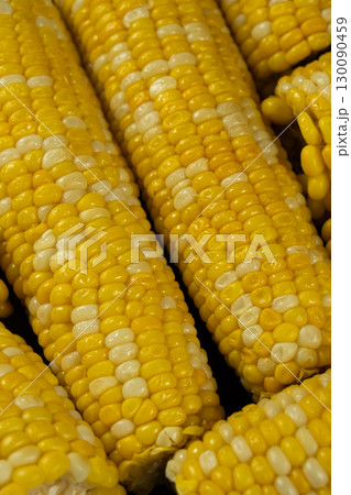 Close-up of cooked corn cobs 130090459