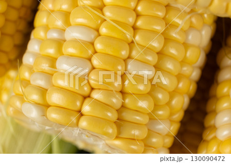 Fresh raw ripe corn cob with bright kernels macro Fresh raw ripe corn cob with bright kernels macro 130090472