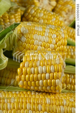 Raw fresh corn cobs with vibrant yellow kernels close-up Raw fresh corn cobs with vibrant yellow kernels close-up 130090488