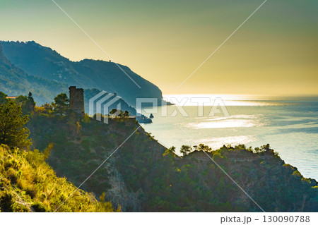 Spanish coast with Pine Tower, Andalusia. 130090788