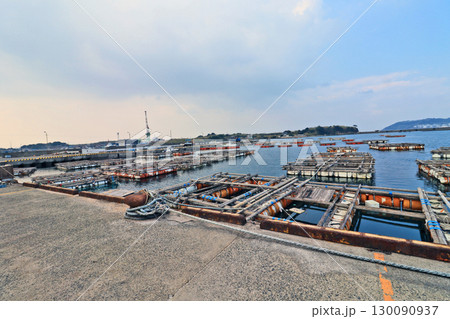 下関市にある天然トラフグ取扱量日本一の南風泊市場 130090937