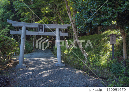 京都亀岡 出雲大神宮 鎮守の杜の参道風景 京都亀岡 出雲大神宮 鎮守の杜の参道風景 130091470