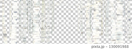 冬のシラカバ林の風景の水彩イラスト。横長バナー背景。 130091988