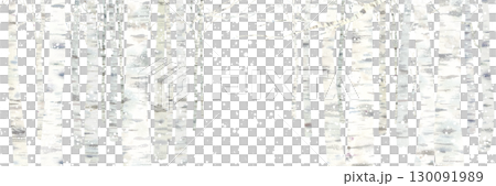 Watercolor illustration of a snowy birch forest landscape. Horizontal banner background. 130091989