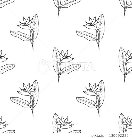 outline strelitzia flower seamless pattern 130092223