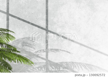 Modern minimal interior with sunlight and plant shadow. Modern minimal interior with sunlight and plant shadow. 130092572