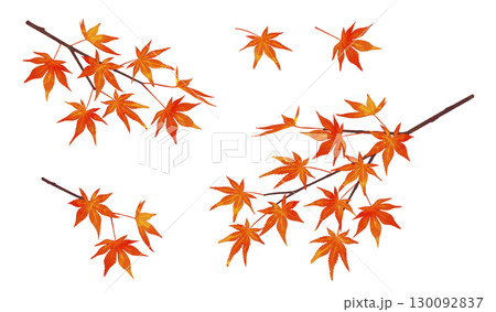 紅葉の枝　水彩風 130092837