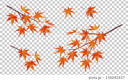 秋葉枝水彩風格 130092837