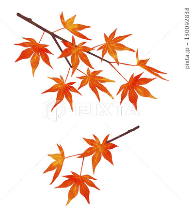 紅葉の枝　水彩風 130092838