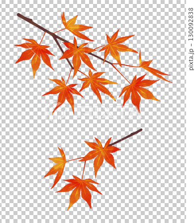 紅葉の枝　水彩風 130092838