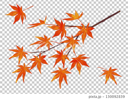 紅葉の枝　水彩風 130092839