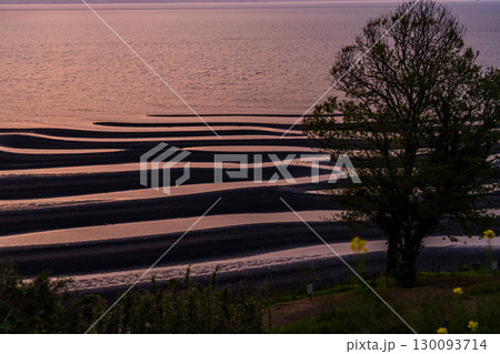 《熊本県》おこしき海岸・干潮の夕暮れ 130093714