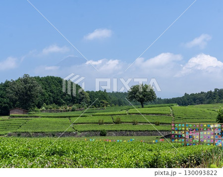 大淵笹場と黒い富士山 130093822
