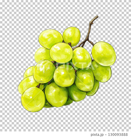 Shine Muscat 插圖 130093888