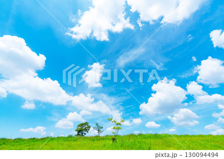 青空と雲と草原 130094494