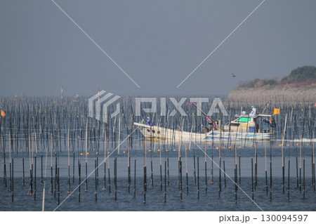 大牟田市　有明海　海苔畑、 130094597