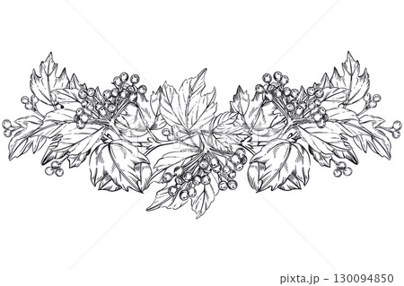 Vector composition of viburnum berries, viburnum leaves, shrub branches. All objects are hand-drawn with ink. Illustration is suitable for printing on fabric, tableware, for product packaging design. Vector composition of viburnum berries, viburnum leaves, shrub branches. All objects are hand-drawn with ink. Illustration is suitable for printing on fabric, tableware, for product packaging design. 130094850