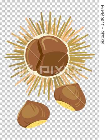 開いた毬栗 130096444